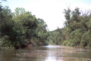 kanal1